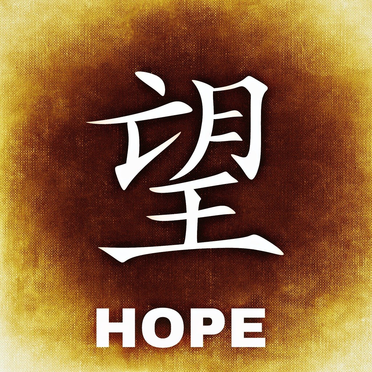 中国人寿e宝帐最新版